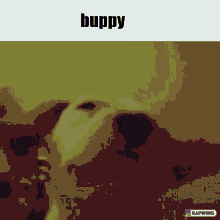 Dog Buppy GIF