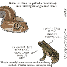 underdone comics science biology jump frog