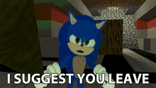 I Suggest You Leave Sonic GIF