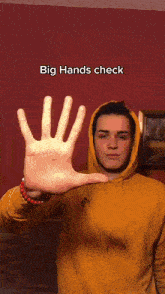 Jovan Graic Big Hands Check GIF - Jovan Graic Big Hands Check Hand GIFs