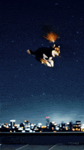 a dog is jumping in the air while fireworks are going off in the background
