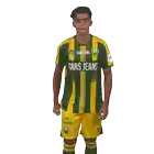 a man wearing a green and yellow jersey with cars jeans on it