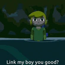 Link My Boy You Good Tloz GIF - Link My Boy You Good Tloz The Legend Of Zelda GIFs
