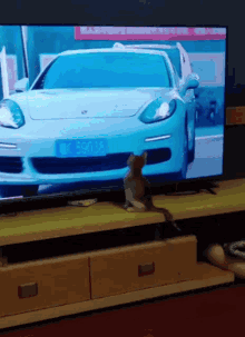 Cat Car GIF - Cat Car Tv GIFs