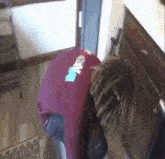 Bleood M4ri GIF