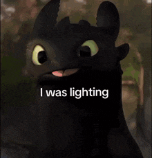 a picture of toothless from how to train your dragon with the words i was lighting before the