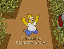 a cartoon of homer simpson with the words how come things that happen to stupid people produced by richard sakai on the bottom