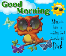 Good Morning Sun GIF - Good Morning Sun Owl GIFs