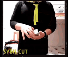 Sybil Cut GIF - Sybil Cut Sybilcut GIFs
