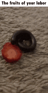 a picture of a snake and a strawberry with the words the fruits of your labor