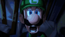 Luigi Luigi Scared GIF - Luigi Luigi Scared Luigi Pissed Himeself GIFs