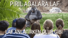 Gorilla Pırıl GIF - Gorilla Goril Pırıl GIFs