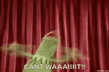Kermit Freaking Out GIF - Kermit Freaking Out Crazy GIFs