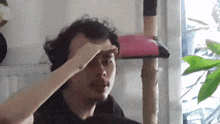 Captain Clever Look Out GIF - Captain Clever Look Out Where GIFs