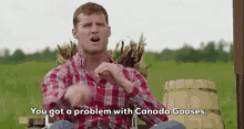 Letterkenny Canada Gooses GIF - Letterkenny Canada Gooses GIFs