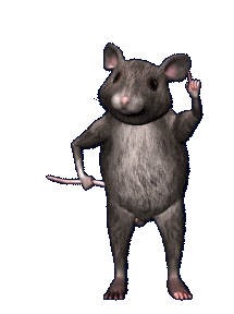 Rat Sticker Rat Discover Share Gifs