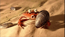 Creature Comforts Excited GIF - Creature Comforts Excited Crab GIFs
