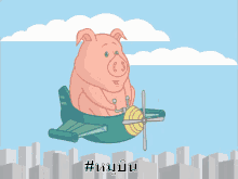 flying pig pig