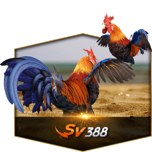 Aplikasi Sabung Ayam Online Sv388 Sticker - Aplikasi Sabung Ayam Online Sv388 Stickers