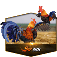 Aplikasi Sabung Ayam Online Sv388 Sticker - Aplikasi Sabung Ayam Online Sv388 Stickers