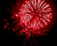a red and white firework display in the night sky