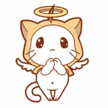 angel cat begging praying hands angel please