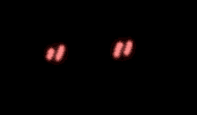 a pink heart is glowing on a black background