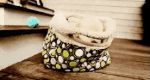 Puppy Love GIF - Puppies Love Gif Story GIFs