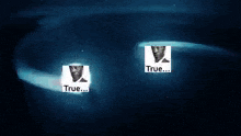 two icons that say true are on a blue background