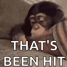 a monkey laying on a blanket with the words that 's been hit above it