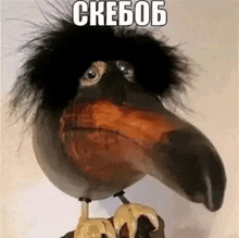 a stuffed bird with a very long beak and a very long neck .