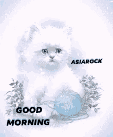Asiarock Good Morning GIF - Asiarock Good Morning Cat GIFs