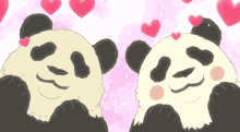 Panda Happy GIF - Panda Happy In Love GIFs