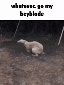 a dog is laying on its back in the dirt .