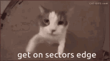 Sectors Edge Sectors GIF - Sectors Edge Sectors Edge GIFs