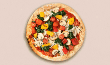 Veganz Vegan Pizza GIF - Veganz Vegan Vegan Pizza GIFs