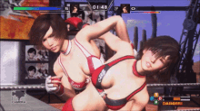 Video Game Rumble Roses Xx GIF - Video Game Game Rumble Roses Xx GIFs