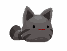 cat grey