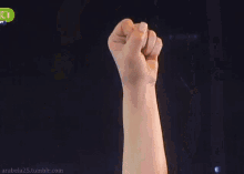 Helena Paparizou Raising Fist GIF