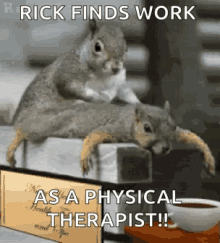 Squirrel Massage GIF - Squirrel Massage Physical Therapist GIFs