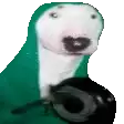 a bull terrier wearing a green jacket and headphones is holding a gun .