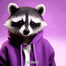 a raccoon wearing a purple hoodie says " mmmm "