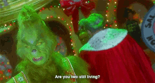 The Grinch Are You Two Still Living GIF - The Grinch Are You Two Still Living Grumpy GIFs