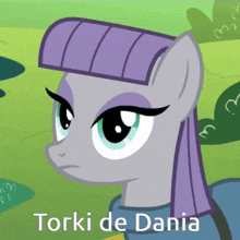 a picture of a pony with the name torki de dania