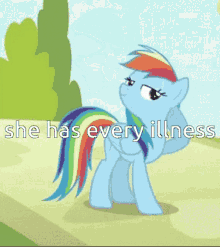 Rainbow Dash My Little Pony GIF - Rainbow Dash My Little Pony Friendship Is Magic GIFs