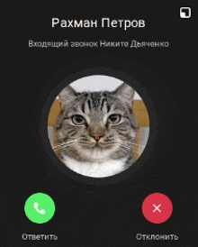 a cat is on a phone call with the name rahman petrob