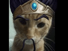 Shaco Cat GIF - Shaco Cat GIFs