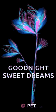 Sweet Dreams GIF - Sweet Dreams Good GIFs
