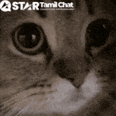 a close up of a cat 's face with a star tamil chat logo in the background