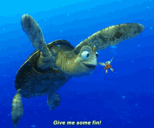 Finding Nemo GIF - Finding Nemo Pixar GIFs